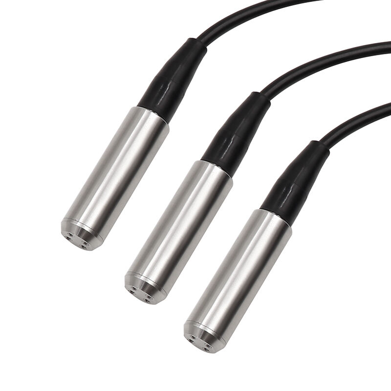 WNK 4~20mA 0-10V RS485 Niveausensor voor waterreservoiren in roestvrij staal voor rivieren en meren