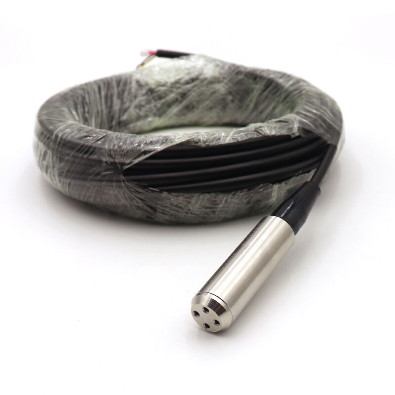 4-20ma 0-10v RS485 Uitgang Liquid Water Level Sensor 500m Well Boringhole Fuel Submersible Water Depth Level Transmitter